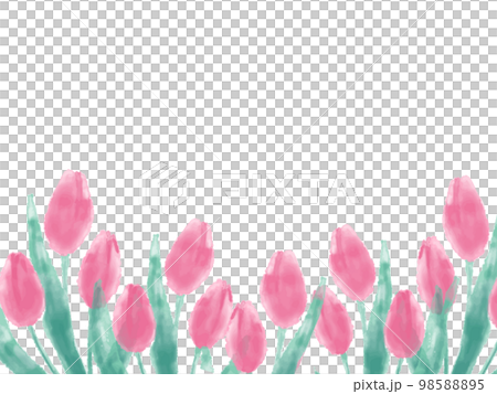 鬱金香花相框 98588895