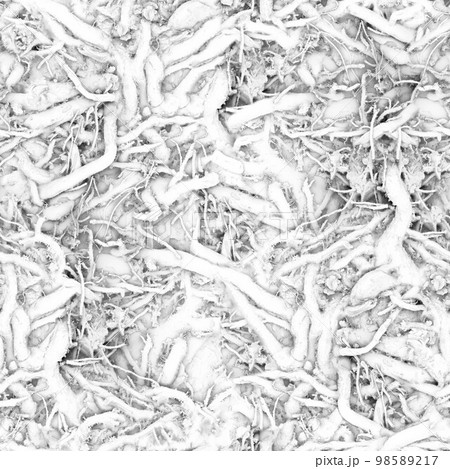 Microbes and various microorganisms under strong microscope magnification.Texture or background Microbes and various microorganisms under strong microscope magnification.Texture or background 98589217