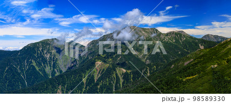 南アルプス光岳への道　縦走路から見える南アルプス南部の山々　兎岳,聖岳,赤石岳,悪沢岳 98589330