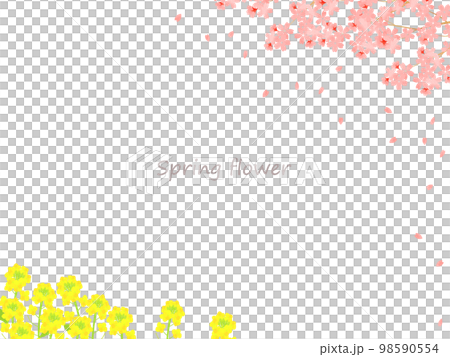 Spring flower frame background illustration with beautiful cherry blossoms and rape blossoms 98590554