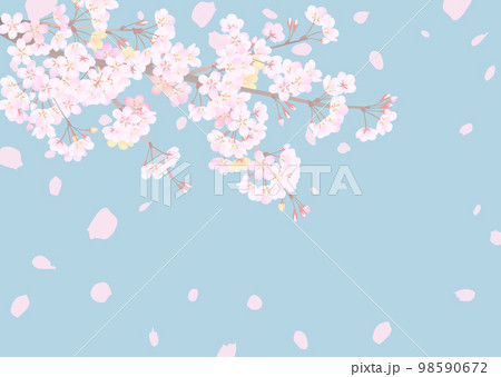 花曇りの空を見上げた、落ち着いた雰囲気の桜の背景イラスト 98590672