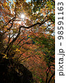 紅葉トレッキング・登山 98591163
