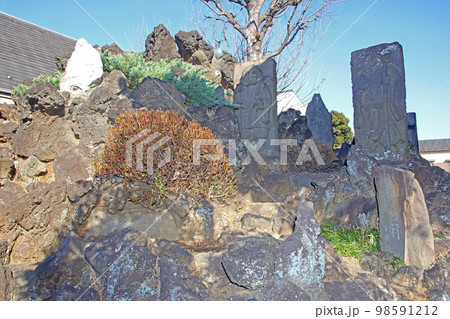 北町浅間神社(練馬) 北町浅間神社(練馬) 98591212