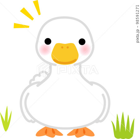 正面を向いたアヒルのキャラクターのイラスト素材 [98591271] - PIXTA