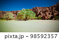 Panorama inside canyon aka Guelta d'Archei in East Ennedi, Chad 98592357