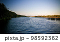 Landscape of the channel between Rasoabe and Ranomainty Lakes,Toamasina Province, Madagascar 98592362