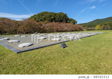 福岡 大宰府政庁跡 西脇殿跡 98592412