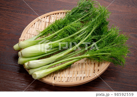 イタリア野菜のスティッキオ イタリア野菜のスティッキオ 98592559