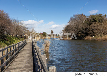 なまいふるさと公園　旧思川流路 98592590