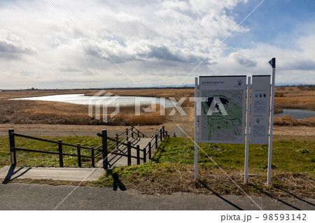 生井さくらづつみより見る渡良瀬遊水地　第二調整池 98593142