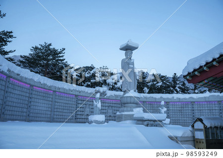 韓国 自然 風景 98593249