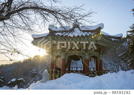 韓国 自然 風景 98593282