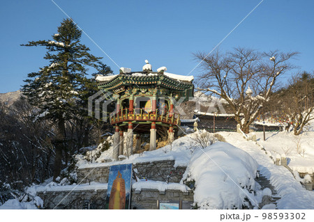 韓国 自然 風景 98593302