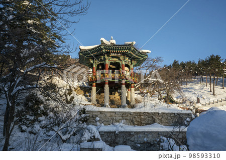韓国 自然 風景 98593310