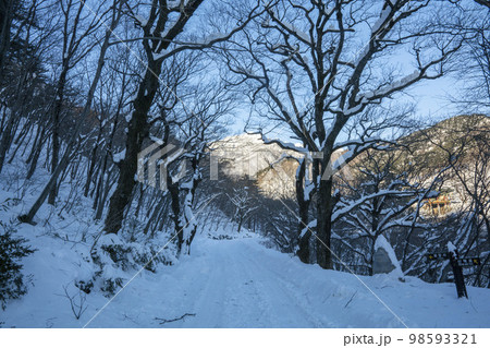 韓国 自然 風景 98593321