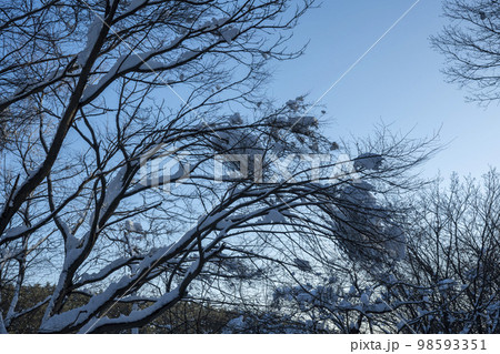 韓国 自然 風景 98593351