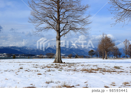 雪が積もった琵琶湖畔の公園と湖西の山並みの風景 雪が積もった琵琶湖畔の公園と湖西の山並みの風景 98593441