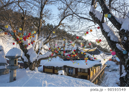 韓国 自然 風景 98593549