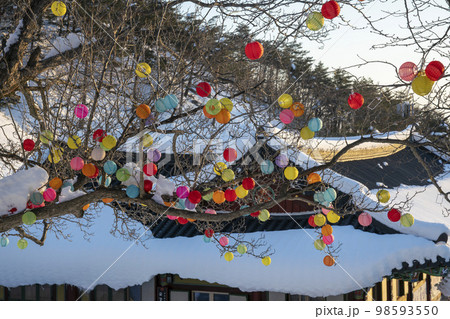 韓国 自然 風景 98593550