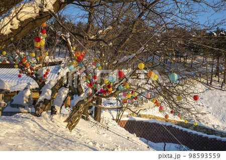 韓国 自然 風景 98593559