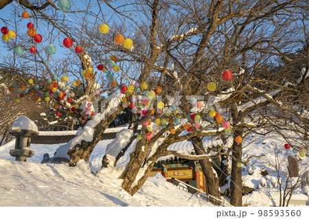 韓国 自然 風景 98593560