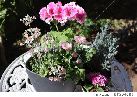 ピンク色の花寄せ植え＆寄せ鉢 98594089