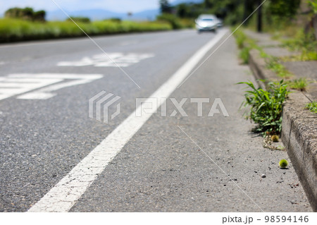 国道脇の風景　滋賀観光　琵琶湖　琵琶湖側 98594146