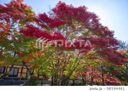 韓国 自然 風景 98594461