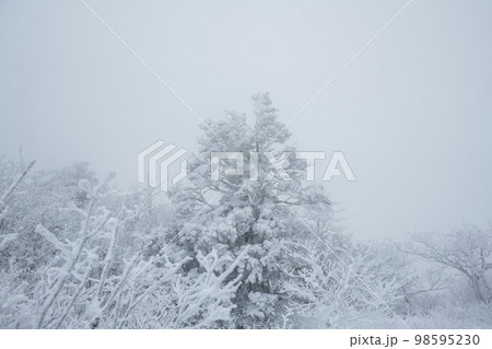 韓国 自然 風景 98595230
