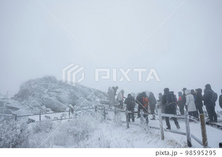 韓国 自然 風景 98595295