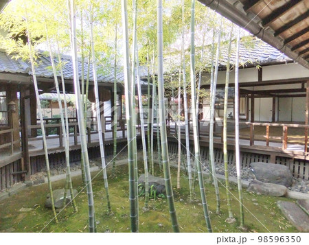 妙顕寺の庭園　孟宗竹の坪庭 98596350