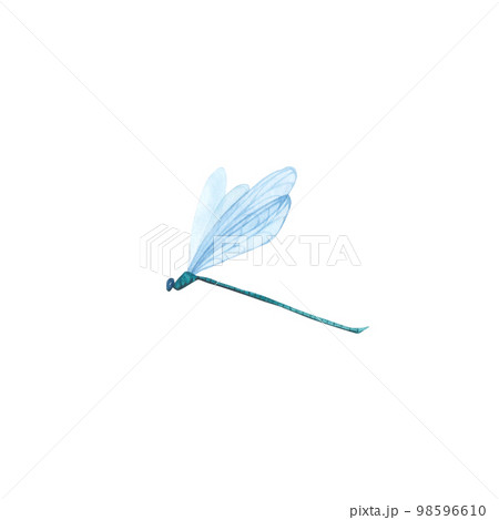 Green Dragonfly with detailed wings isolated. Watercolor hand drawn realistic flying insect llustration for design Green Dragonfly with detailed wings isolated. Watercolor hand drawn realistic flying insect llustration for design 98596610