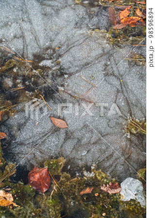 池の氷面 98596894