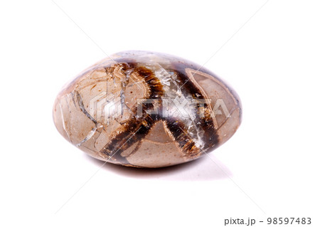 Macro mineral stone Simbirzit and Septaria on white background 98597483