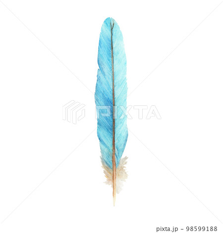 Vibrant feather. Bird feather. Boho style wings. Watercolor illustration.  98599188