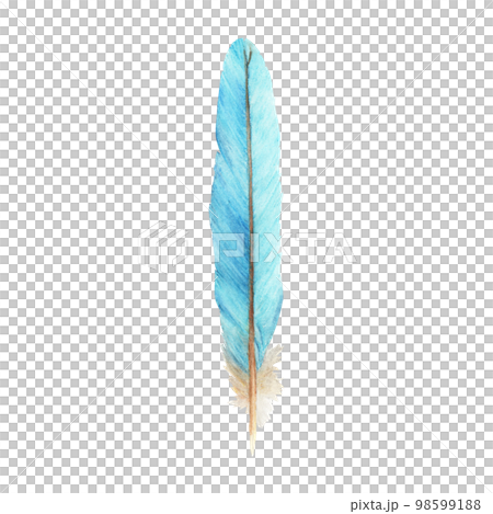 Vibrant feather. Bird feather. Boho style wings. Watercolor illustration.  98599188