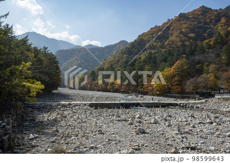 韓国 自然 風景 98599643