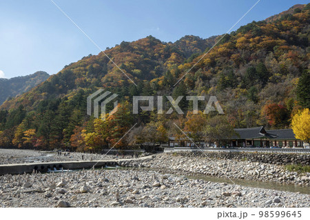 韓国 自然 風景 98599645