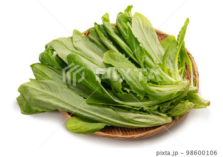 中国野菜、ゆーまー菜 中国野菜、ゆーまー菜 98600106