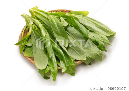 中国野菜、ゆーまー菜 98600107
