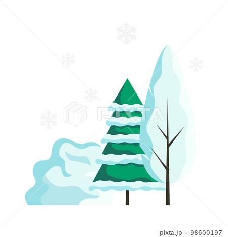 Winter Trees Illustration 98600197