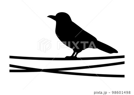 電線の上のカラスのシルエット 98601498
