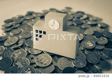 校舎と硬貨　教育費　学校の収入 98601810