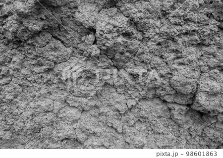 Black and white photo. Texture of cracked earth. The background of the stone. 98601863