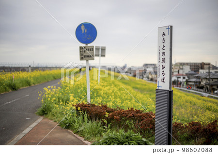 江戸川　周辺の風景 98602088