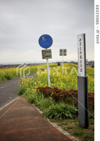江戸川 周辺の風景 江戸川 周辺の風景 98602089