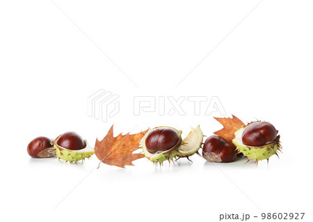 Fresh and ripe chestnuts, isolated on white background Fresh and ripe chestnuts, isolated on white background 98602927