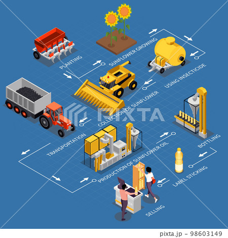 Sunflower Products Isometric Flowchart 98603149