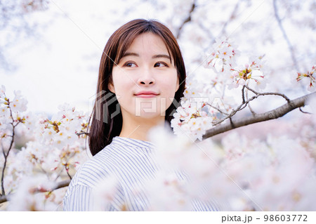 桜　女性ポートレート 98603772