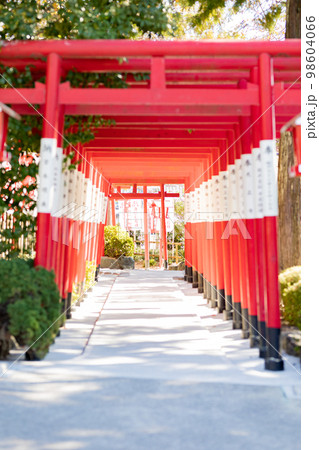 愛知県名古屋市　成海神社　鳥居 98604066